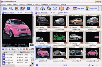 SWF Media Browser Screenshot